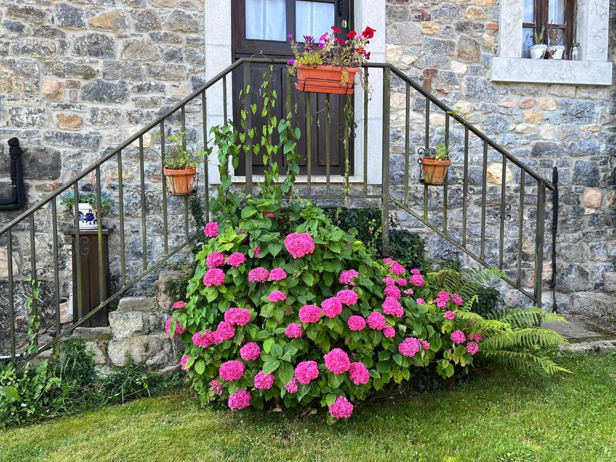 casa rural casa cerezal Onís Exterior foto